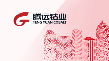 贛州騰遠鈷業(yè)年處理30000噸廢舊鋰電池綜合回收利用項目環(huán)境影響評價第一次公示